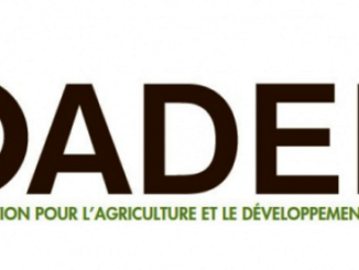 Logo OADEL