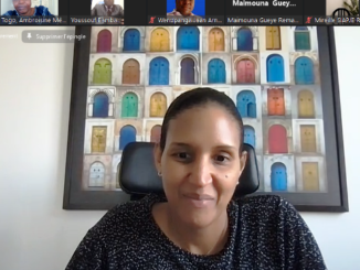 Mme Yacine Djibo lors du webinaire du Remapsen sur les maladies tropicales négligées