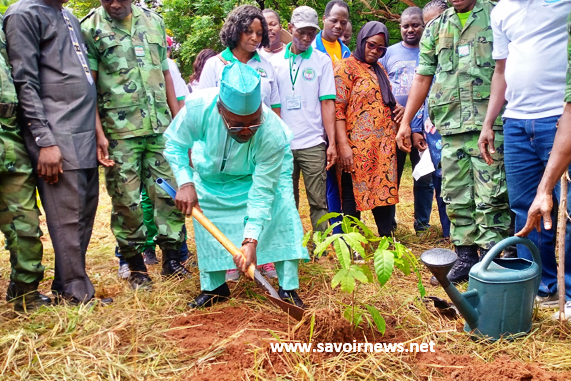 Foli-Bazi Katari, ministre de l'environnement et des ressources forestières en train de mettre un plant en terre ce 1er juin 2023 dans le cadre du lancement de la campagne de reboisement national