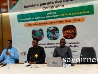 Table ronde sur les transitions alimentaires au Togo, les panélistes