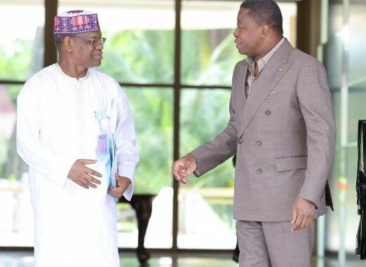 Le président du Conseil Faure Gnassingbé et Dr Amadou Baïlo Diallo...